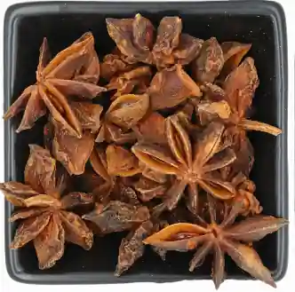 Sternanis Sternanis