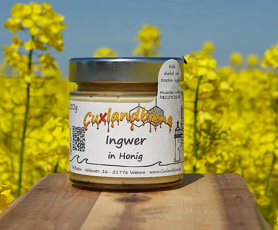 Ingwer in Honig - Rapsfeld