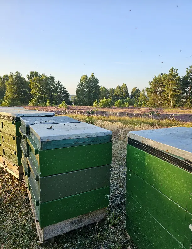 Patenvolk in der Heide Patenvolk in der Heide