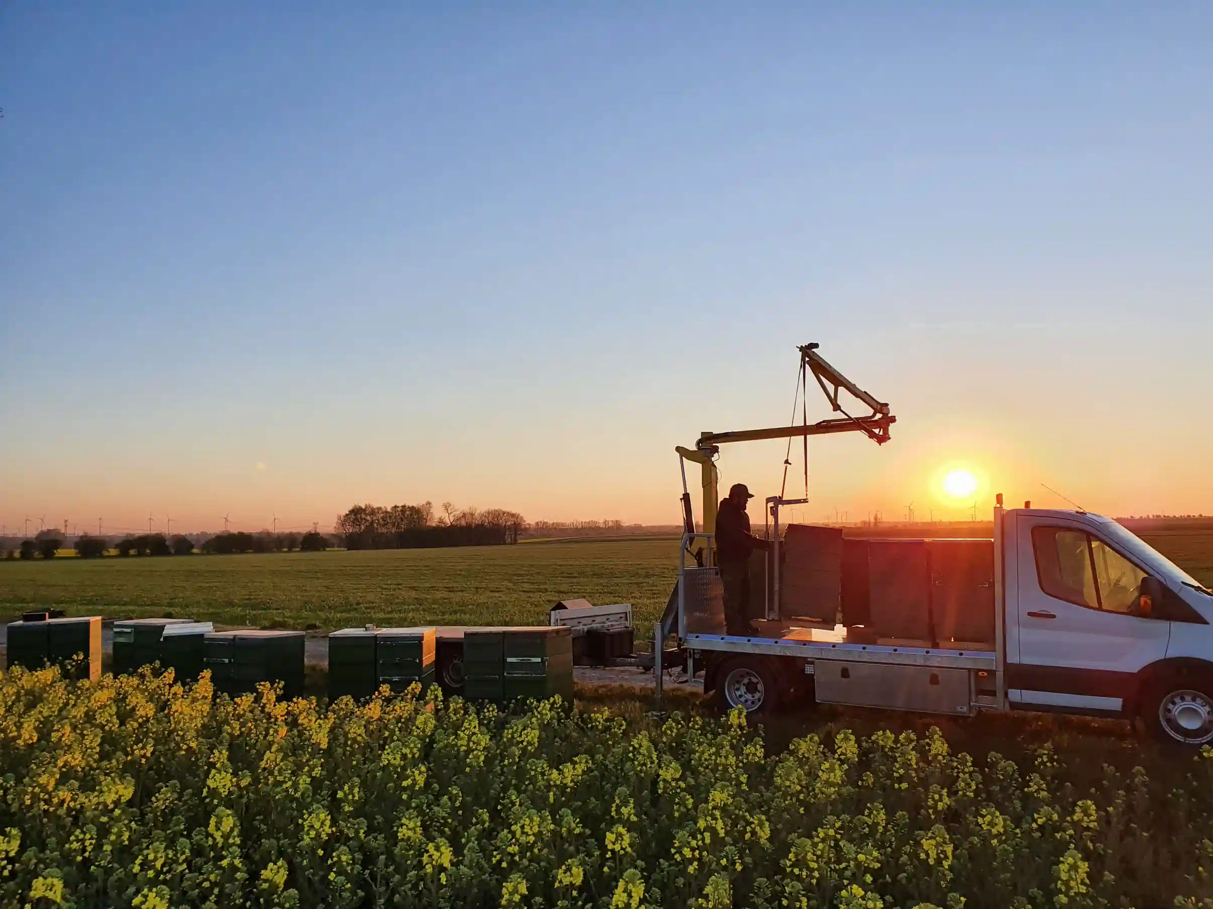 Imkerei Cuxlandbiene – echter Honig aus regionaler Imkerei