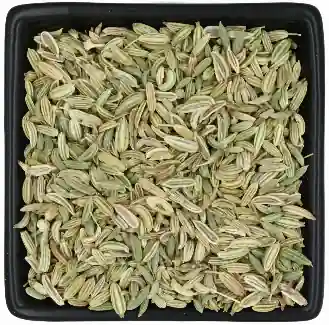 Fenchel Ganz Fenchel Ganz