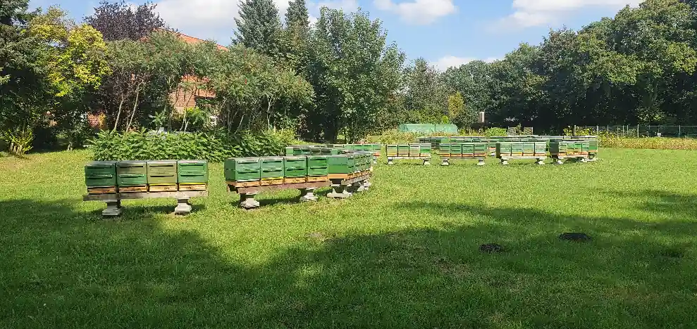 Bienenstand im Garten