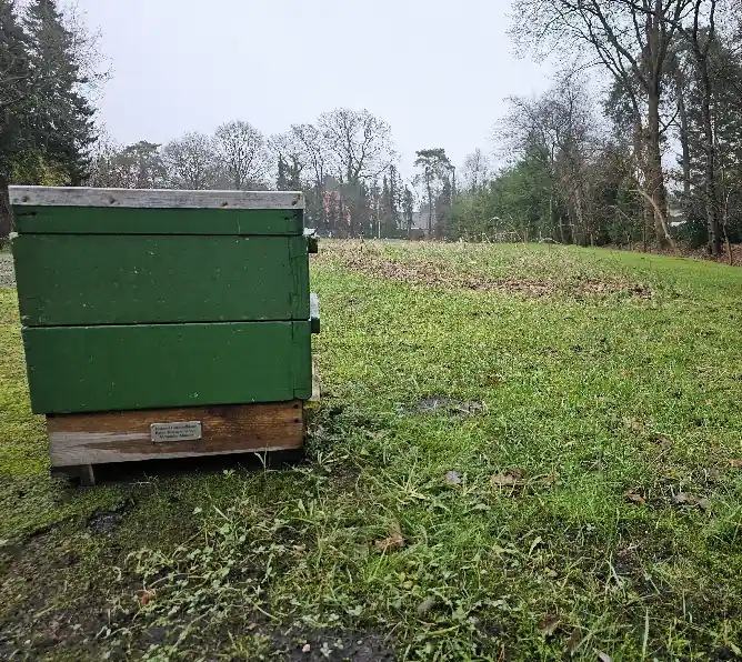 Patenvolk vor Blühwiese Patenvolk vor Blühwiese