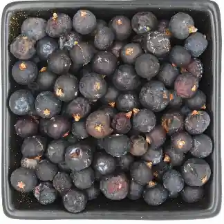 Wacholderbeeren Wacholderbeeren