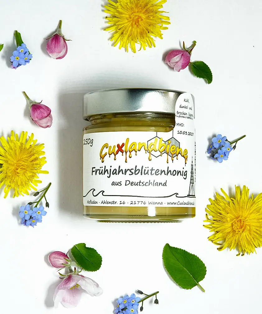 Fruehjahrsbluetenhonig 250g mit Blume liegend
