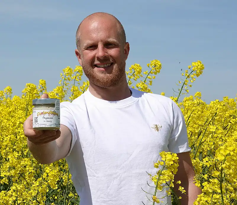 Thymian in Honig -  Alex im Raps