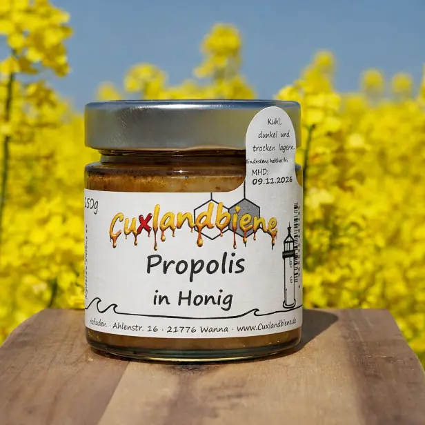 Propolis in Honig - Rapsfeld