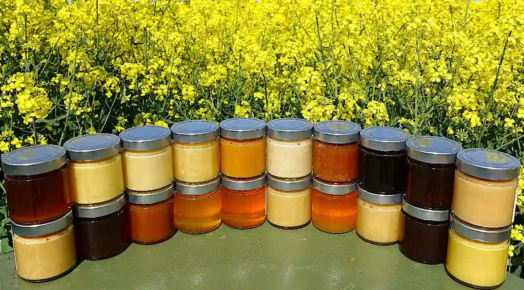 Klasische Honige 250g - Alle - Hinten 3