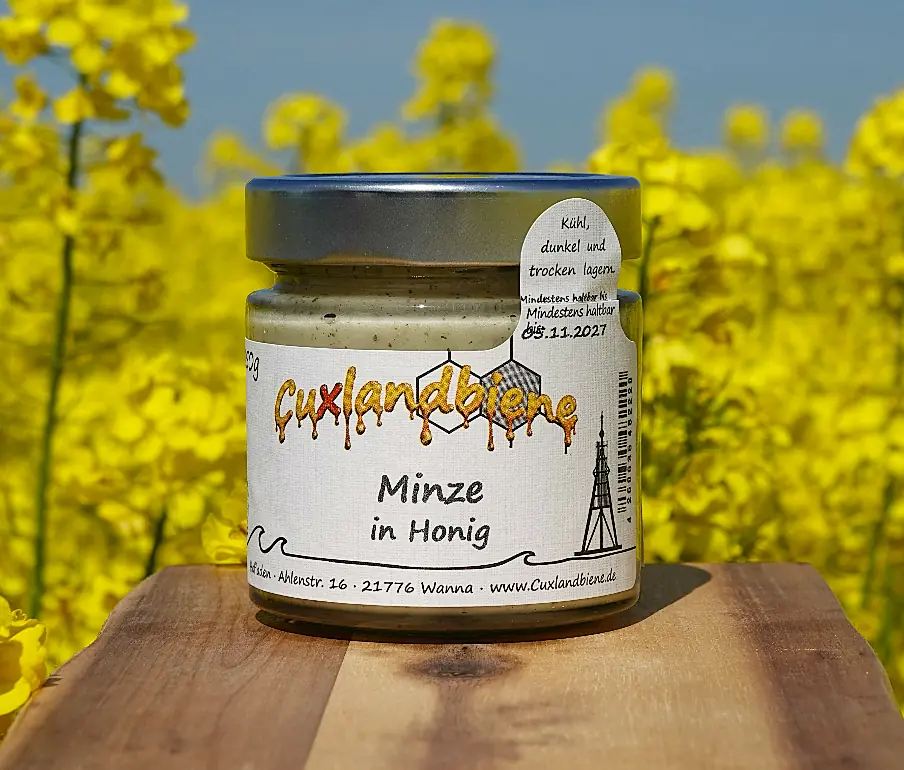 Minze in Honig - Rapsfeld