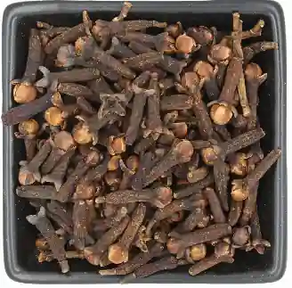 Nelken Ganz Nelken Ganz