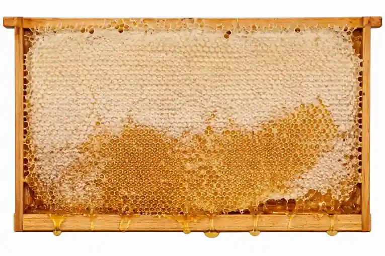 Wabenhonig - Imkerei Cuxlandbiene